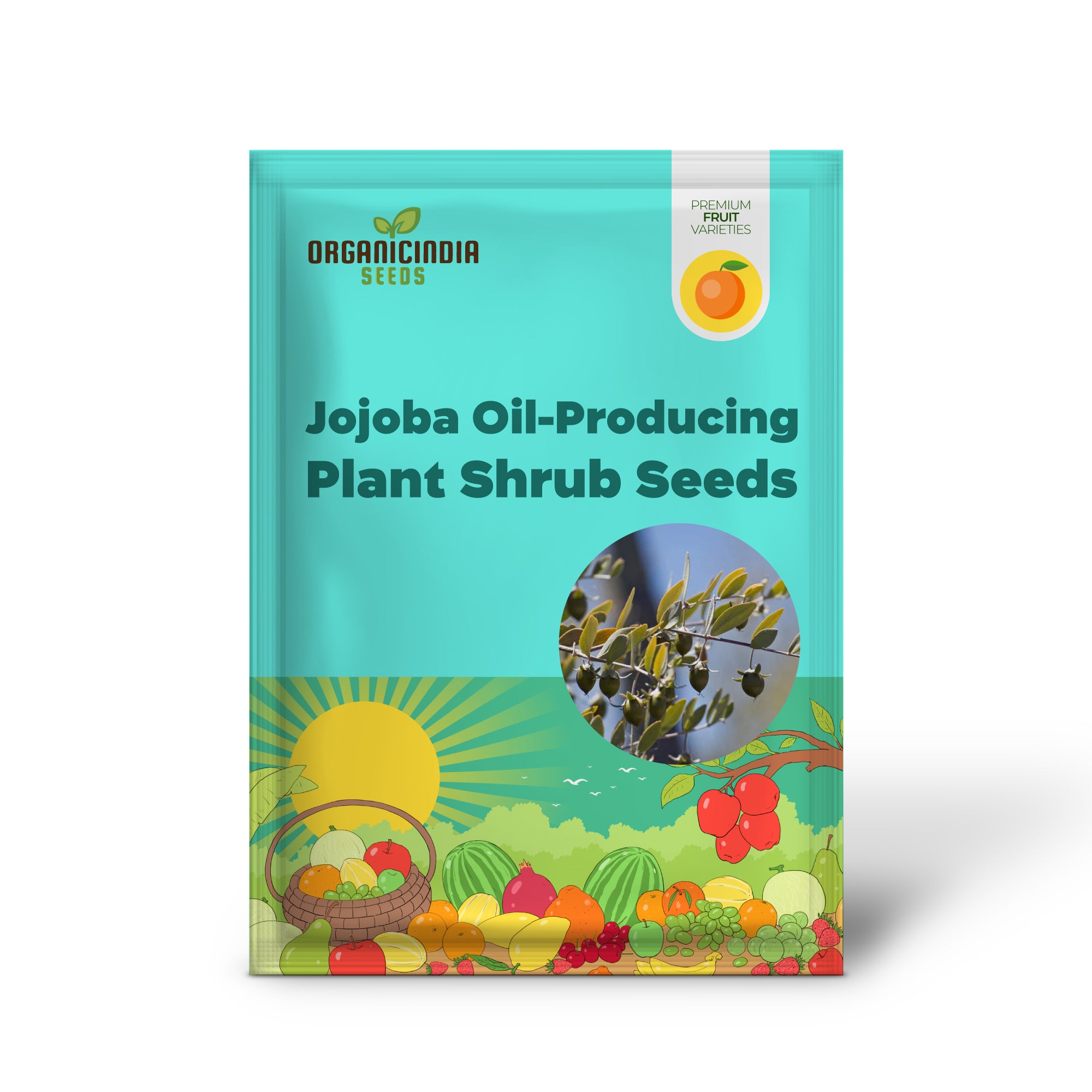 Jojoba Oil-Producing Plant Shrub Seeds