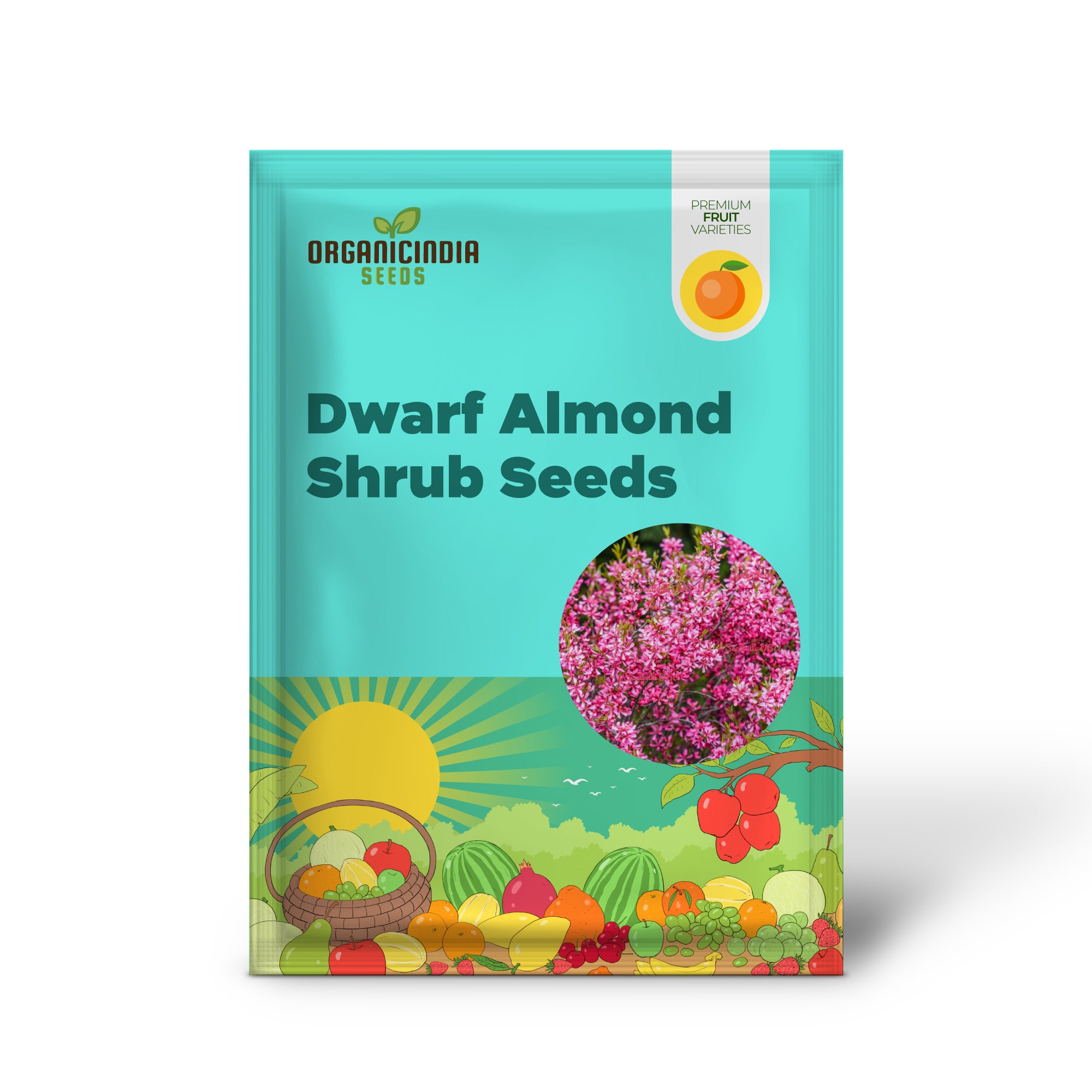 Dwarf Russian Almond Shrub Seeds