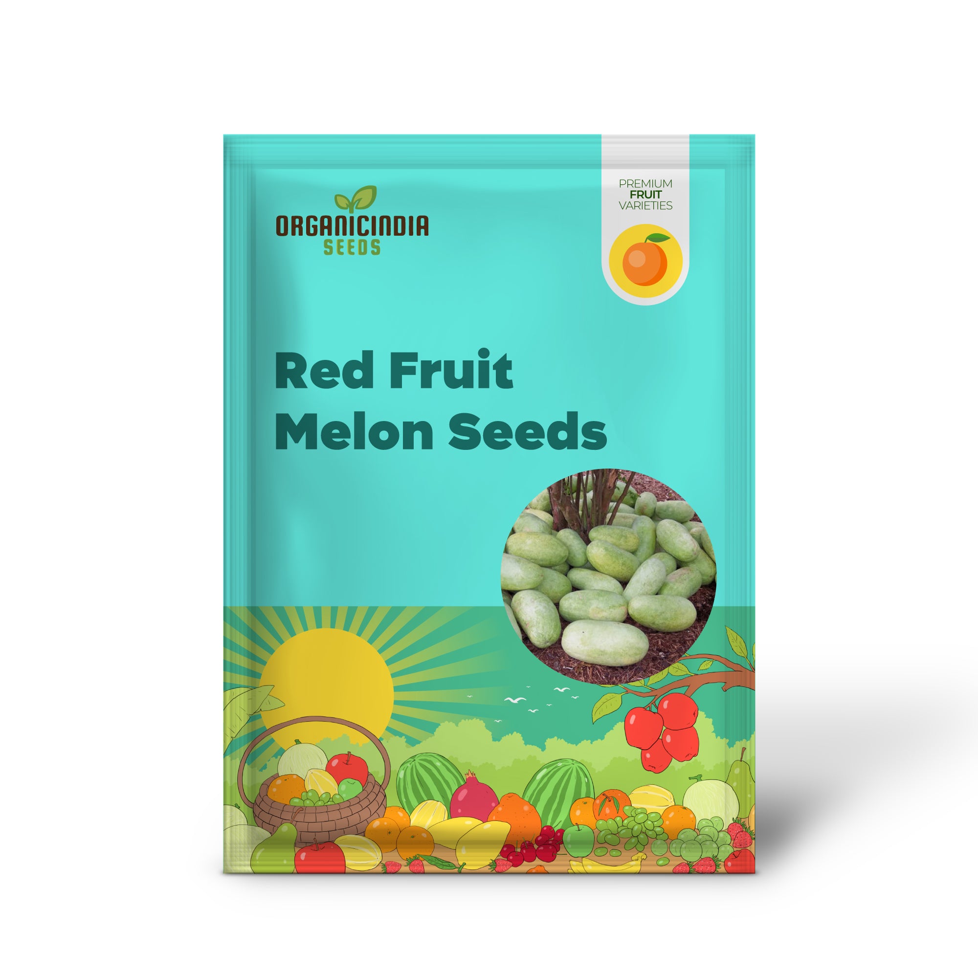 Charleston Gray Watermelon (Citrullus lanatus) – Red Fruit Melon Seeds