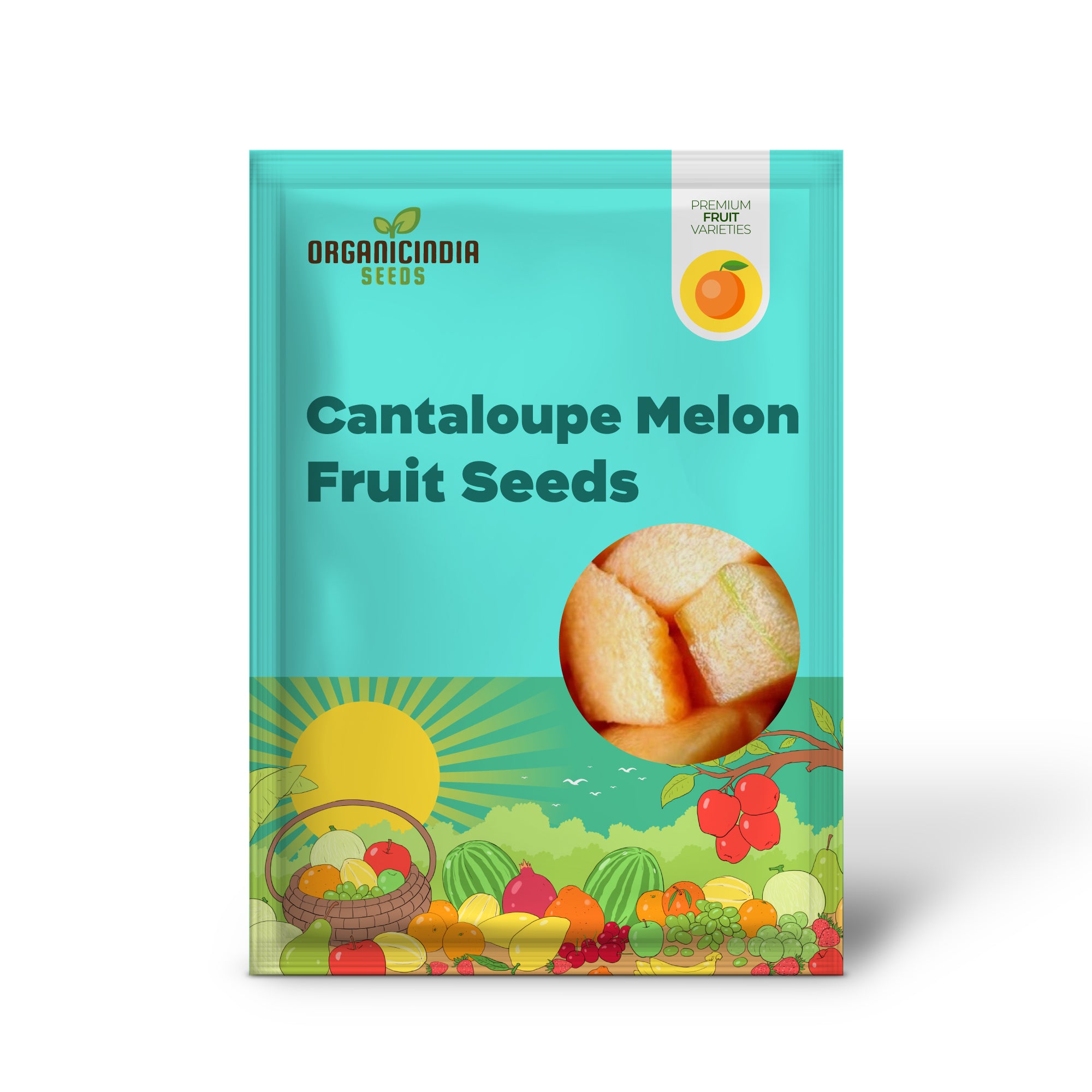 Iroquois Cantaloupe Melon (Cucumis melo) – Fruit Seeds