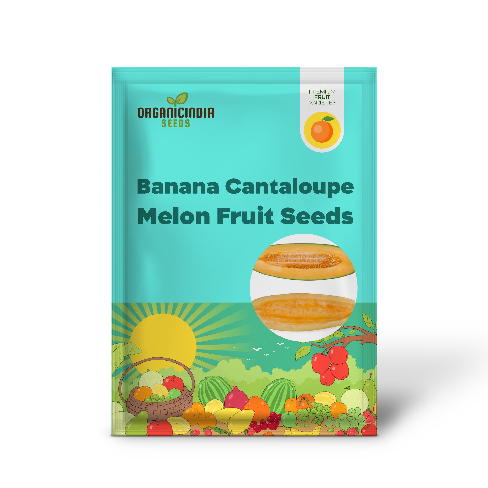 Banana Cantaloupe Melon (Cucumis melo) – Fruit Seeds