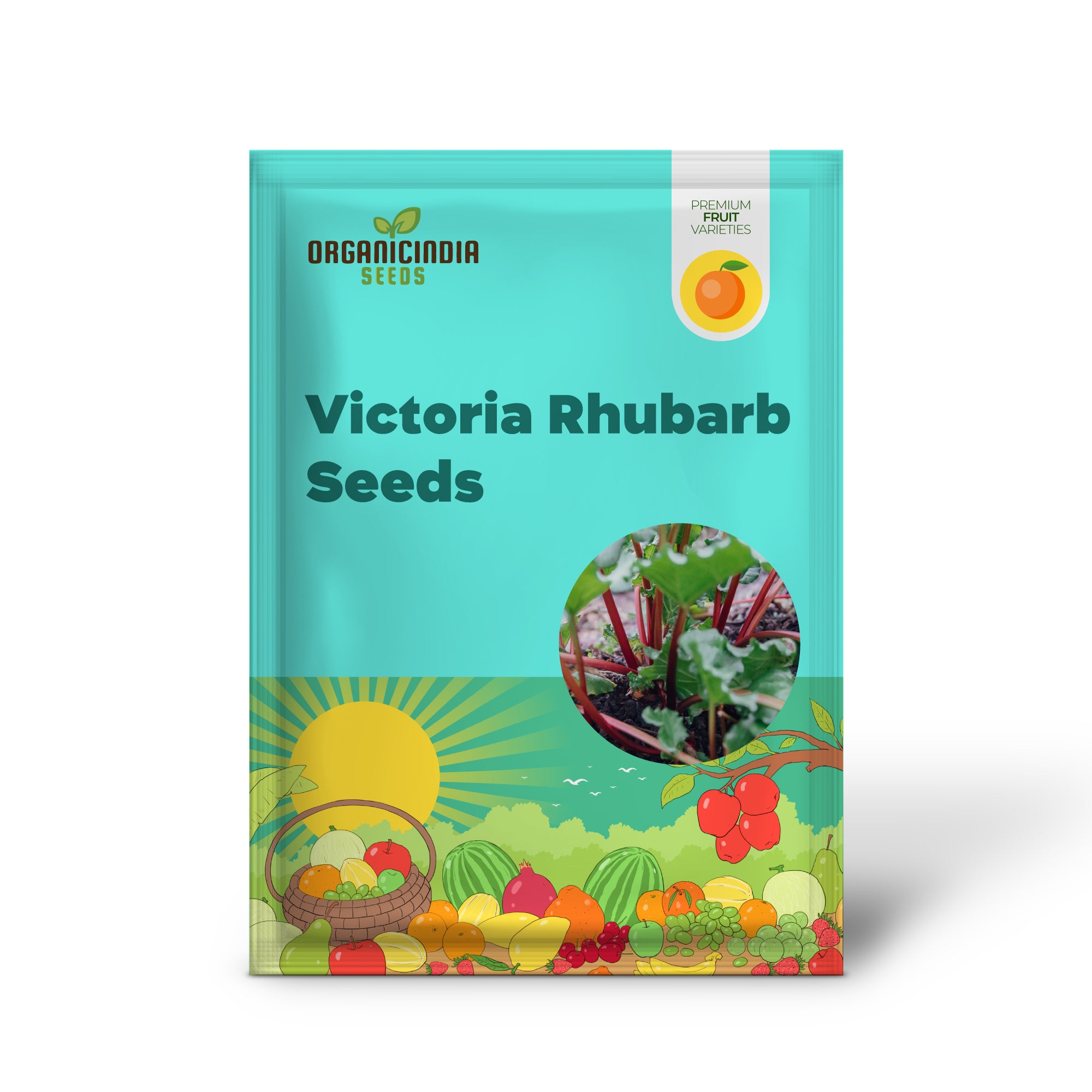 Victoria Rhubarb (Rheum x hybridum) – Seeds