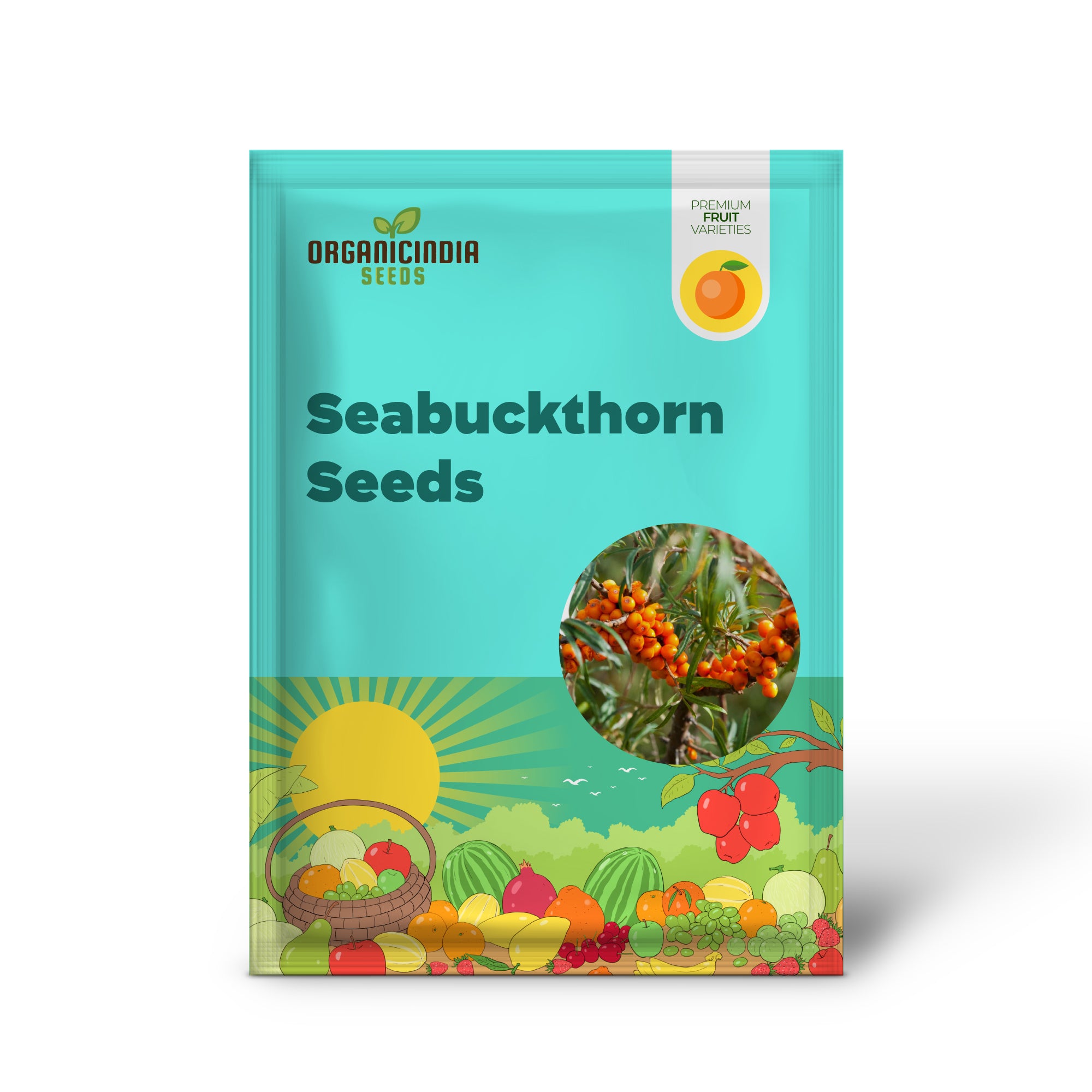 Seabuckthorn (Hippophae rhamnoides) – Seeds