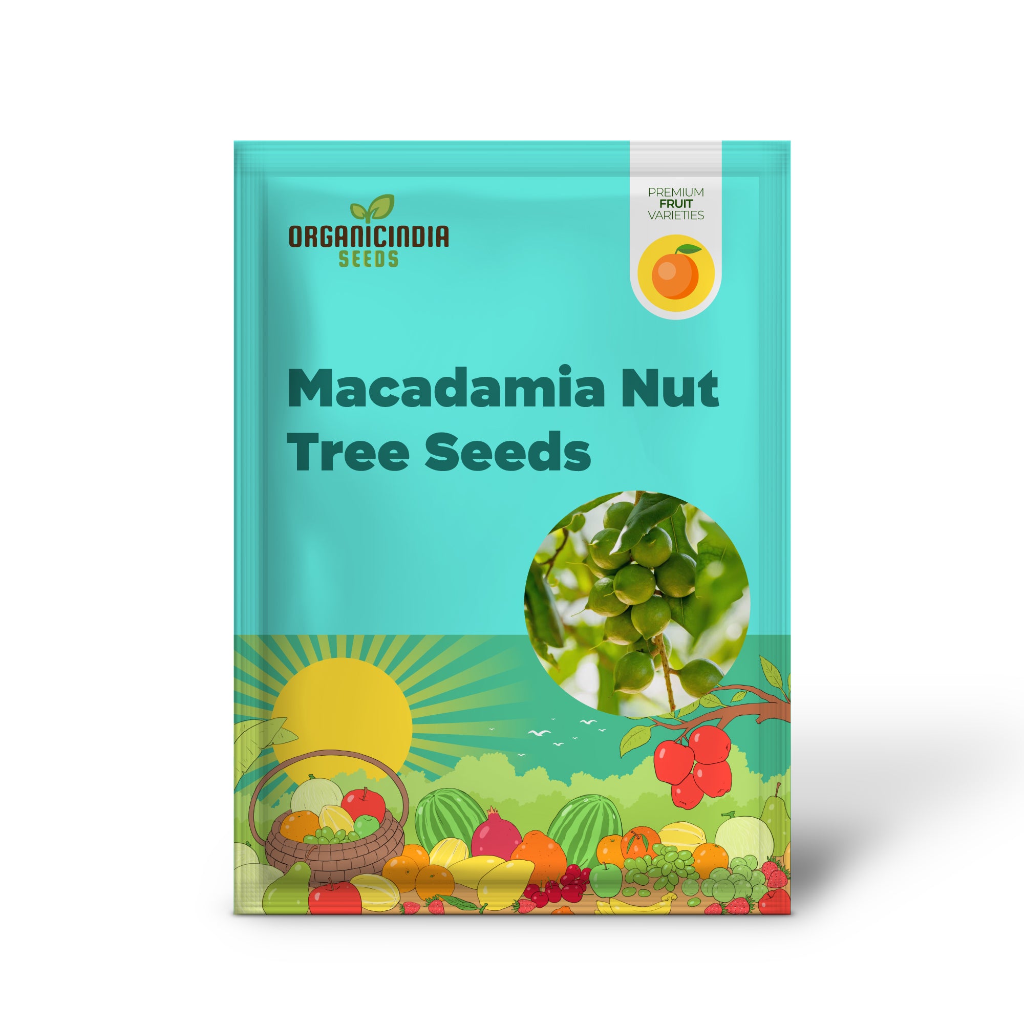 Macadamia Nut Tree (Macadamia integrifolia) – Seeds