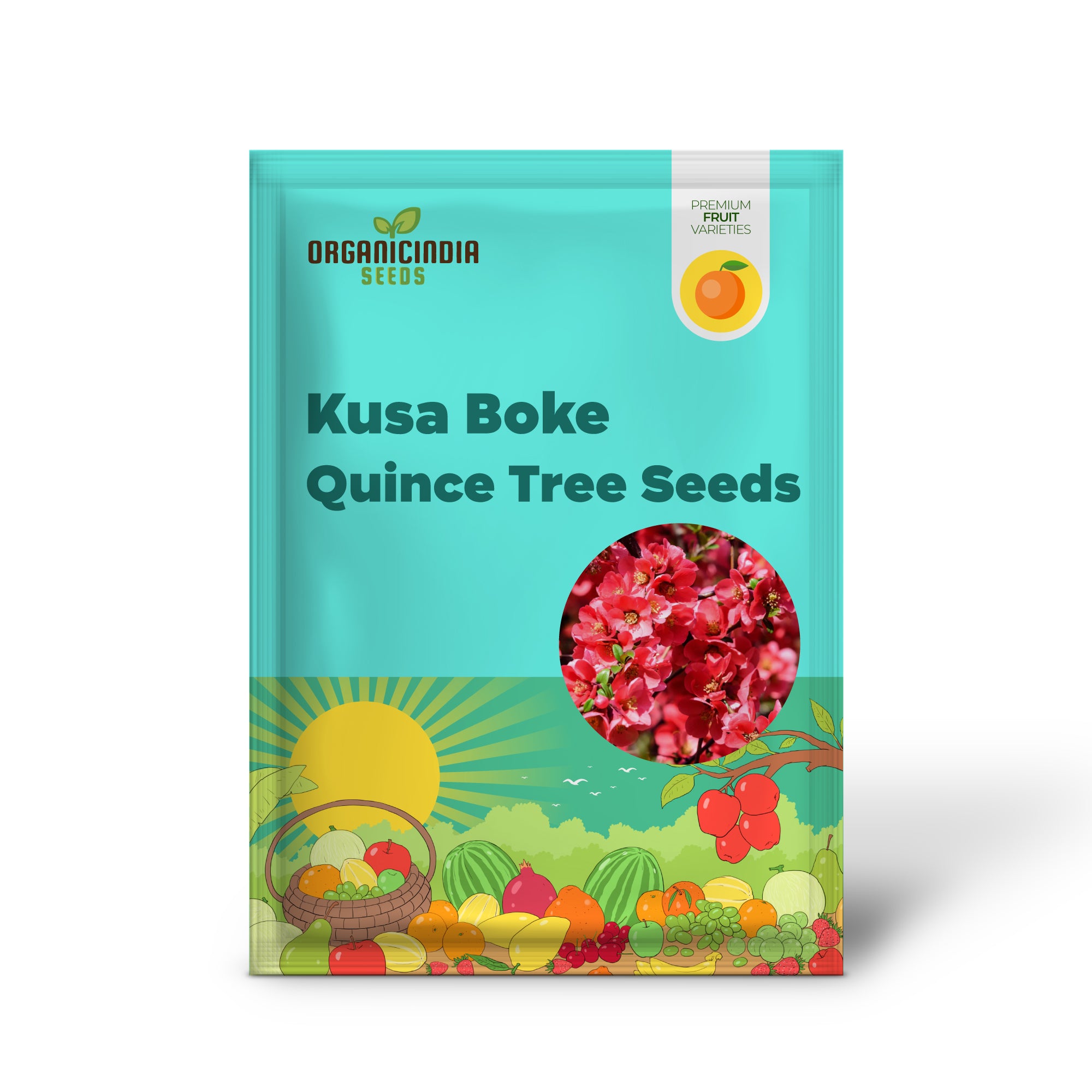 Kusa-Boke (Japanese Flowering) Quince Tree (Cydonia oblonga) – Seeds