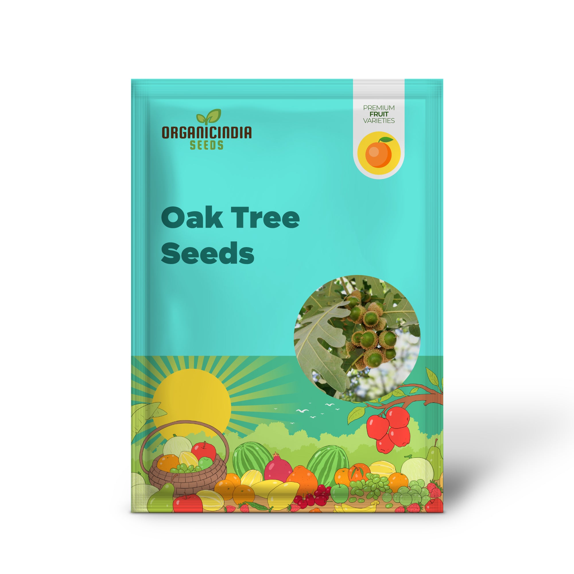 White Oak Tree (Quercus alba) – Seeds