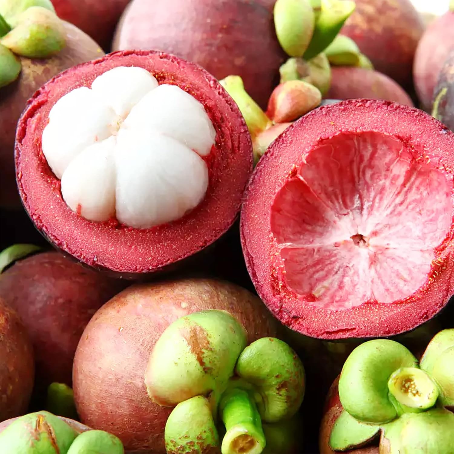 Graines de mangoustan – Fruit tropical sucré à feuilles persistantes, sans OGM pour le jardin 