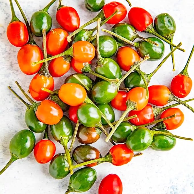 Thai Bird's Eye Chili Peppers Seeds for Planting