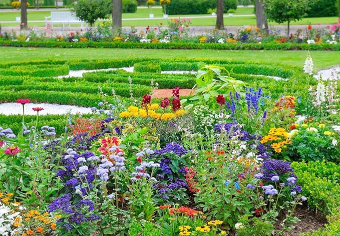 Summende haver: Premium-blanding af vilde blomsterfrø - glæd bier, sommerfugle og kolibrier! | Tiltrækker bestøvere | Let at dyrke og vedligeholde | Skab dit livlige tilflugtssted