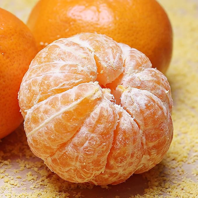 Graines de mandarine à planter – Citrus Reticulata, à feuilles persistantes, parfumées, jus sucré, sans OGM, idéales pour le jardin