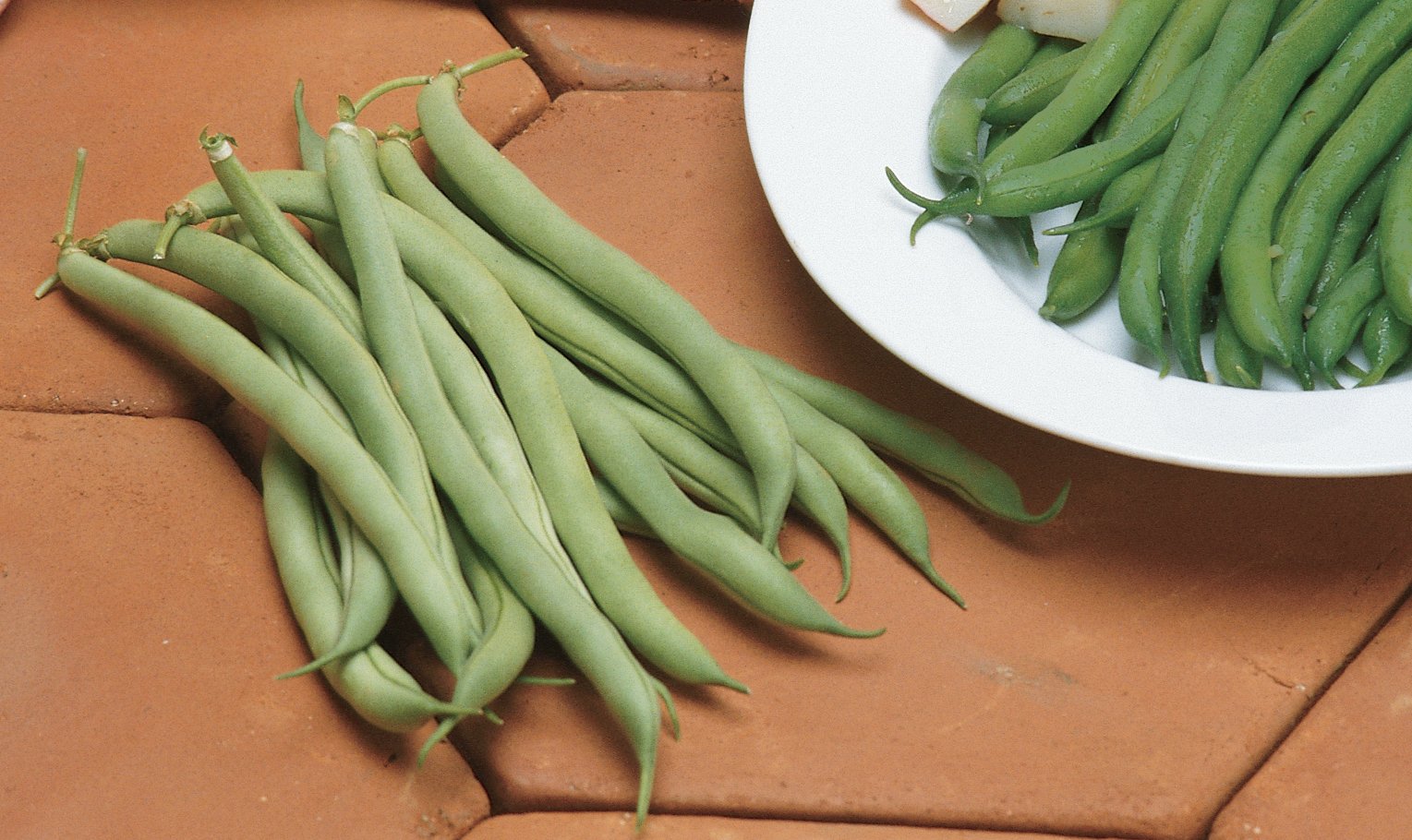 "White Half Runner Green Bean Seeds, Planting - 100 pcs" - Vegetable Seeds