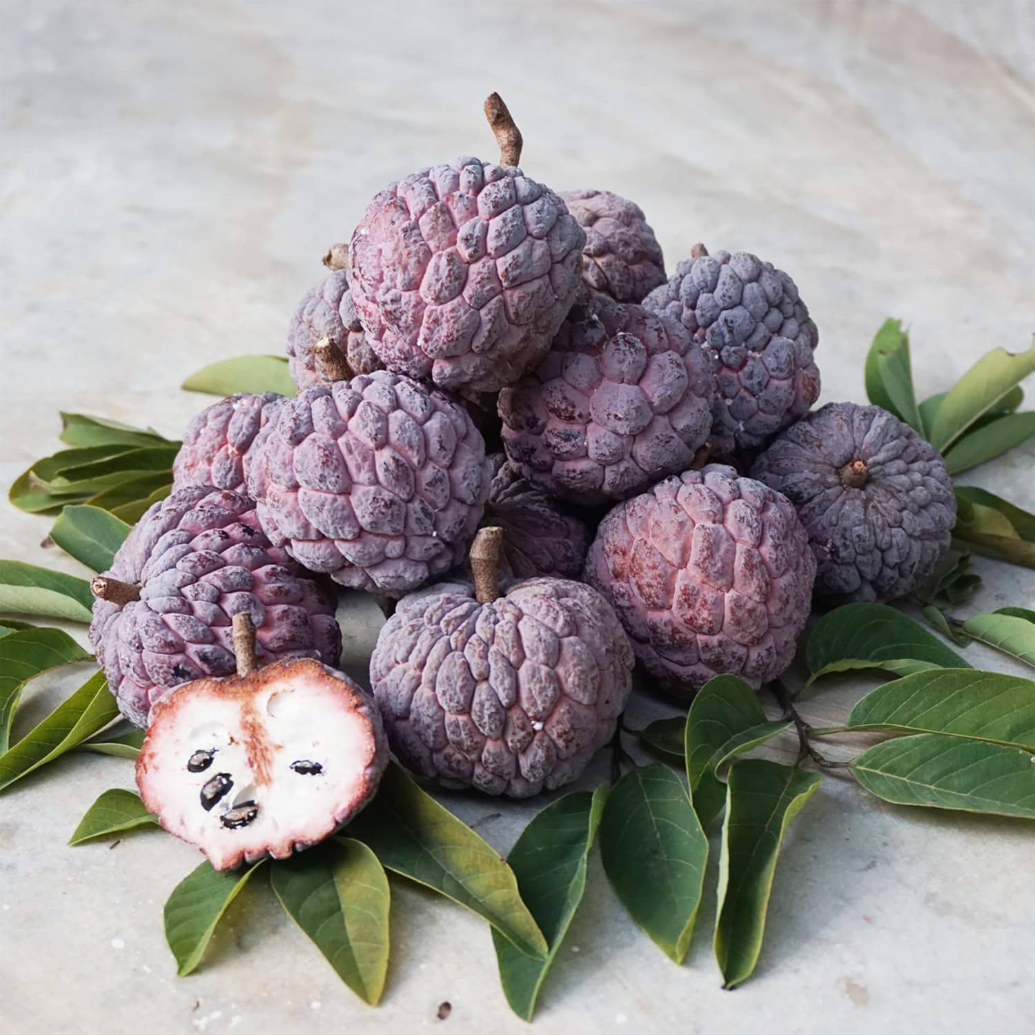 Red Sugar Apple Seeds | Sugar Apple, Sweetsop | Sweet, Custard-Like Flesh | Soft Texture & Aromatic Flavor | Ideal for Culinary Uses | 10 Pcs Seeds