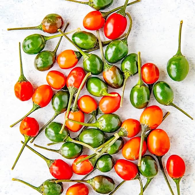 Thai Bird's Eye Chili Peppers Seeds for Planting