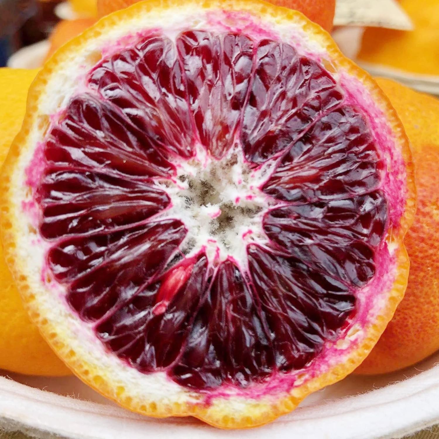 Blood Orange Tree Seeds - Fast Growing, Rich in Vitamin C, Juicy, GMO Free, Ideal for Containers, Patio, Indoor & Outdoor - 20Pcs