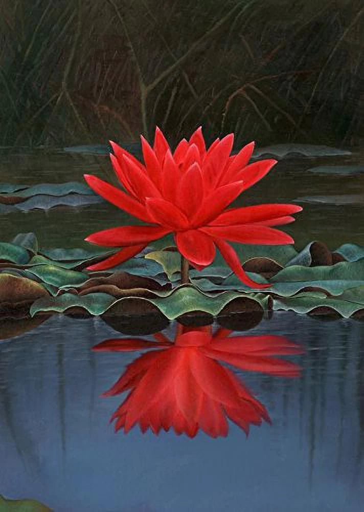 Red Lotus Flower Seeds for Planting - 100 pcs - Flower seeds