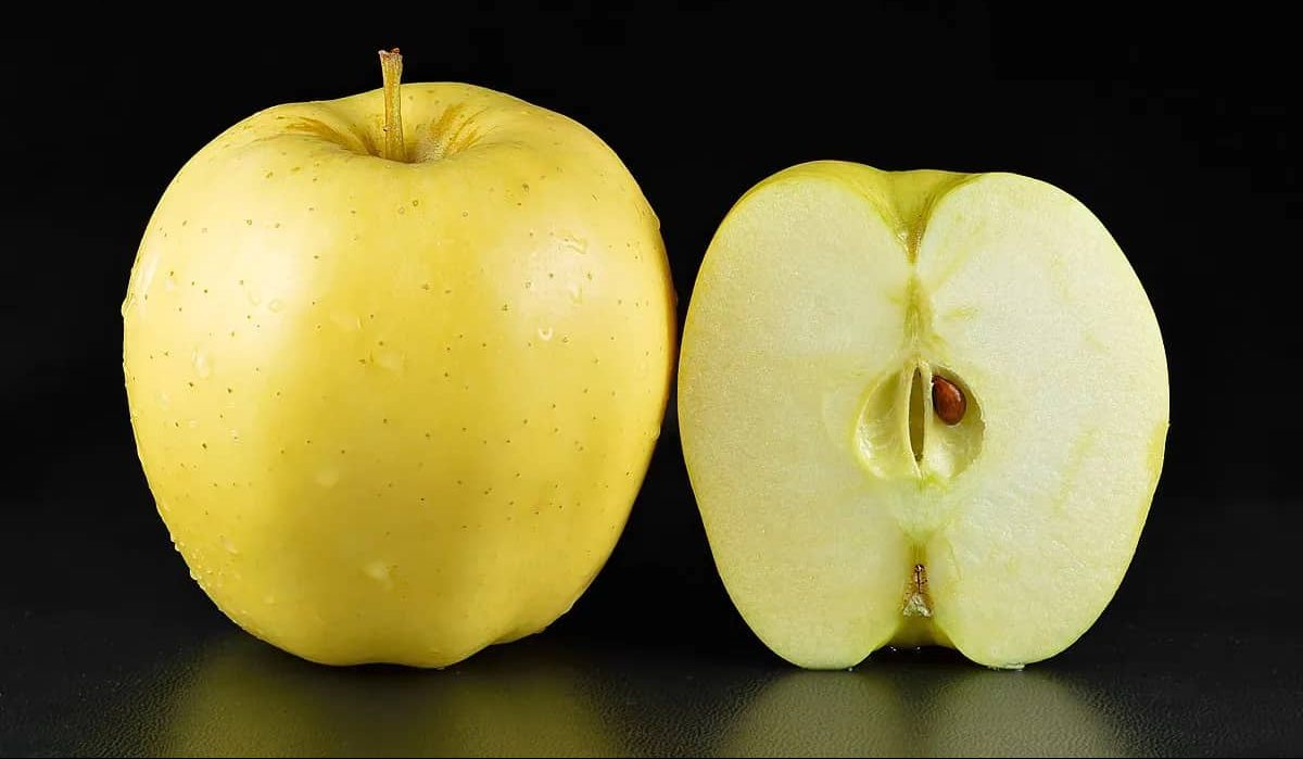 Grimes Golden Apple Seeds for Planting – Sweet, Spicy & Aromatic Heirloom Apples