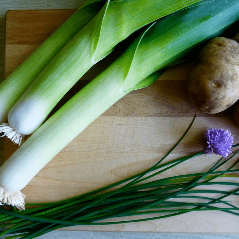 LEEK TADORNA Seeds for Vibrant Gardening | Premium Garden Seeds for Hearty Harvests