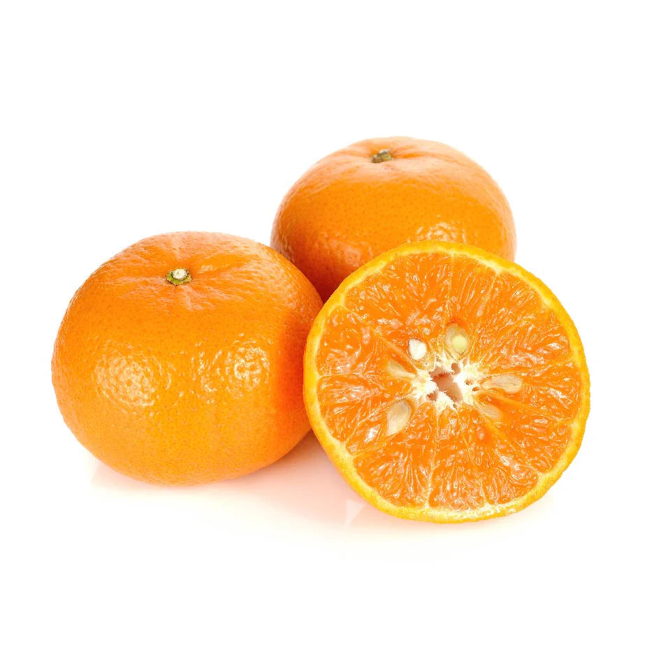 Tangelo Seeds for Planting – Grow Sweet & Juicy Orlando & Minneola Citrus Fruits