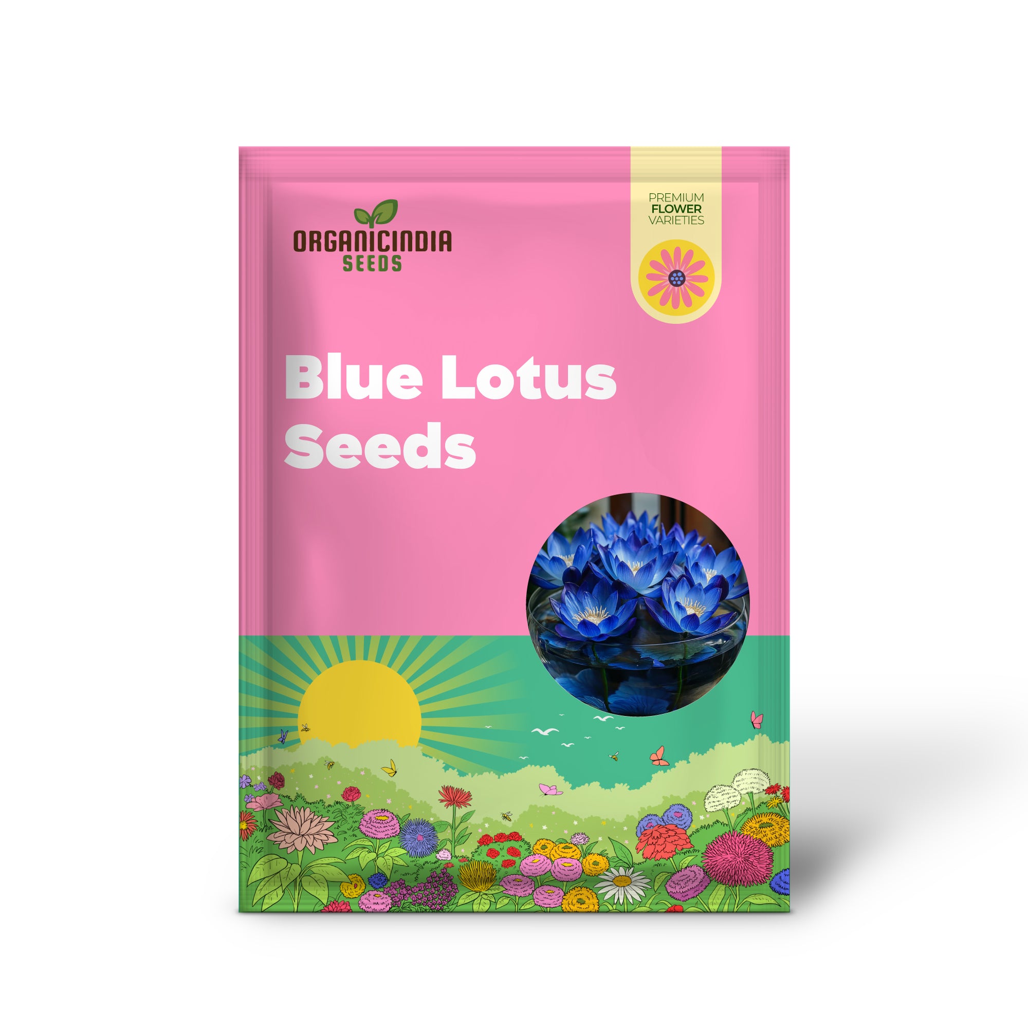 Premium Blue Lotus Seeds – Pack of 25 | Exotic Aquatic Flowers