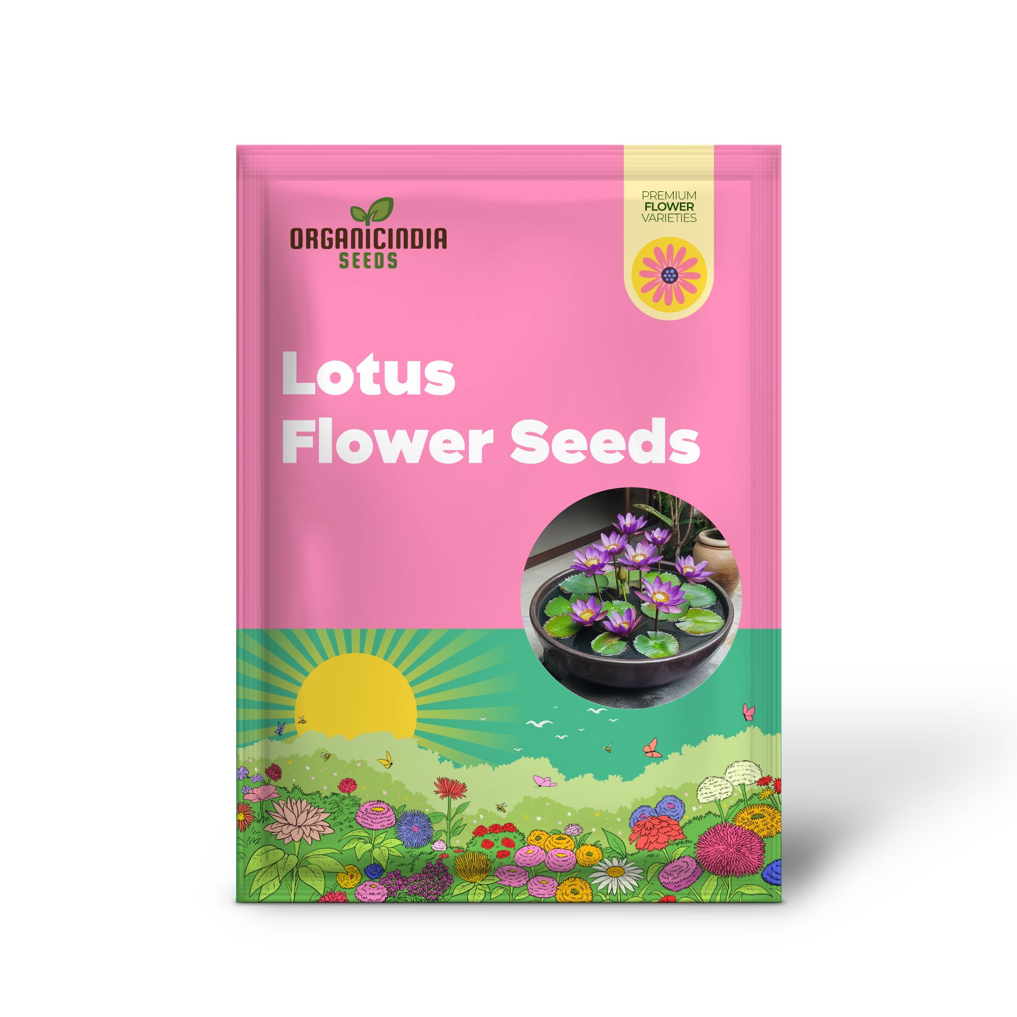 Premium Purple Lotus Flower Seeds – Pack of 25 | Grow Stunning Aquatic Blooms