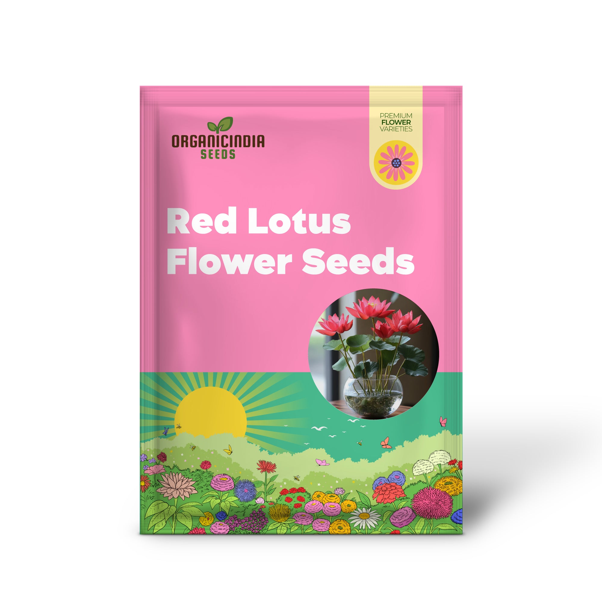 Premium Red Lotus Flower Seeds – Pack of 25 | Grow Stunning Blooms