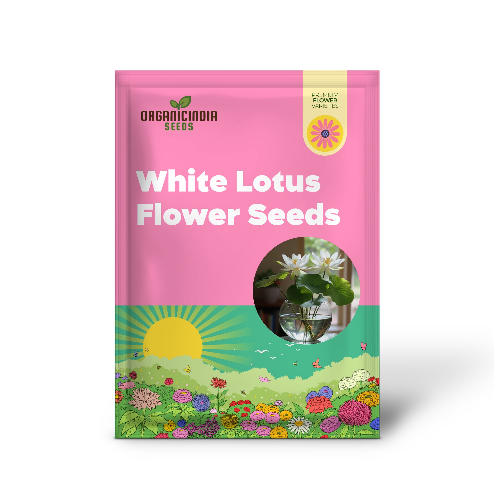 Premium White Lotus Seeds – Pack of 25 | Grow Beautiful Lotus Flowers