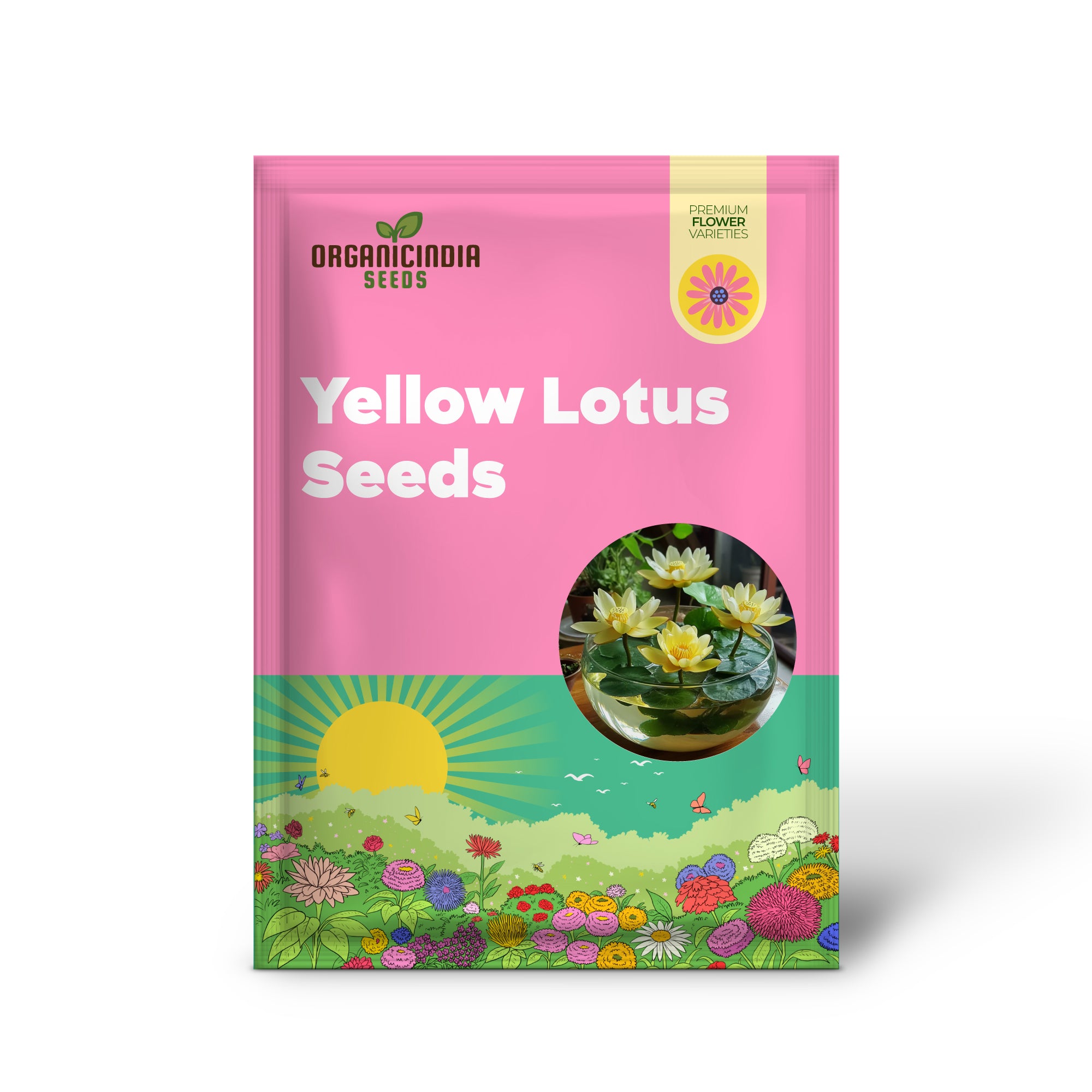 Premium Yellow Lotus Seeds – Pack of 25 | Grow Vibrant Lotus Blooms