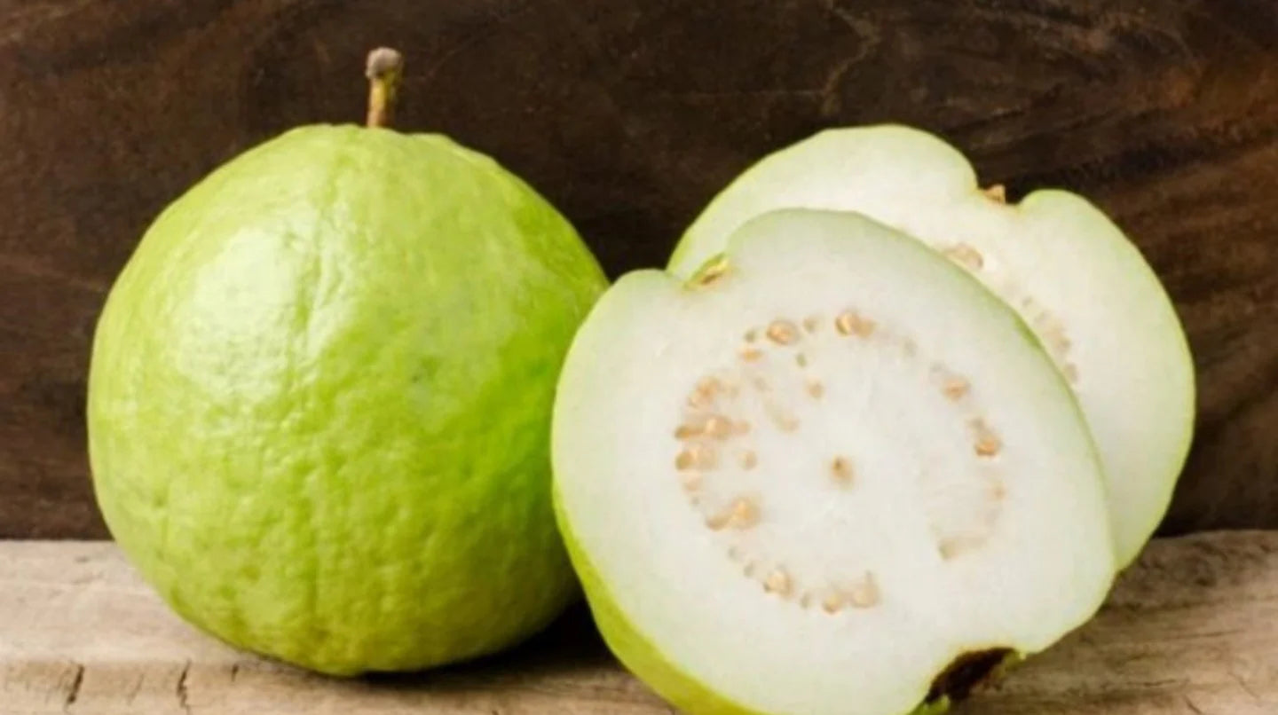 Tropical White Guava Seeds – Sweet & Fragrant Fruit for Planting