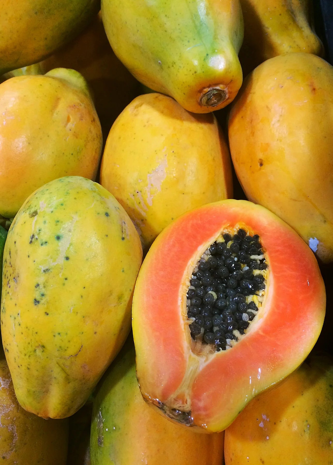 Solo Papaya Seeds for Planting – High-Yield, Sweet Tropical Fruit