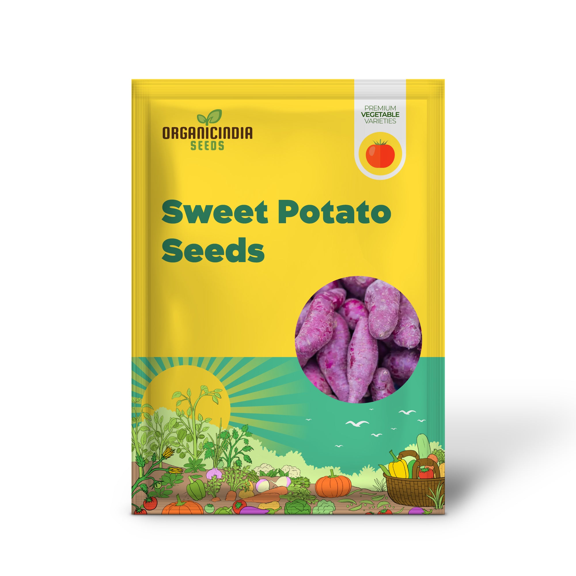 Sweet Potato Vegetable Seeds, Violet Variety for Planting and Home Harvests