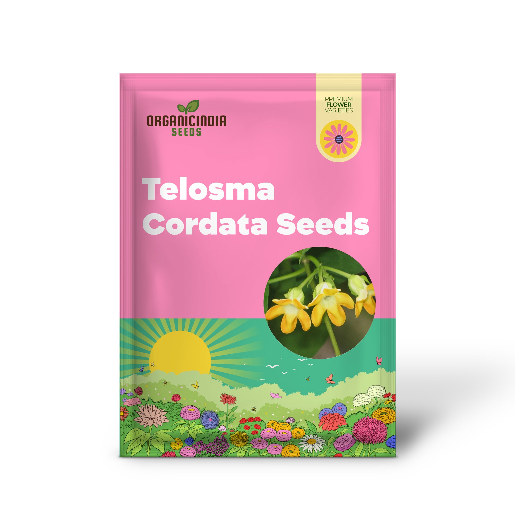 Telosma Cordata Samen - zieht Kolibris und Schmetterlinge an, essbare Spaliere und Zäune - Blumensamen