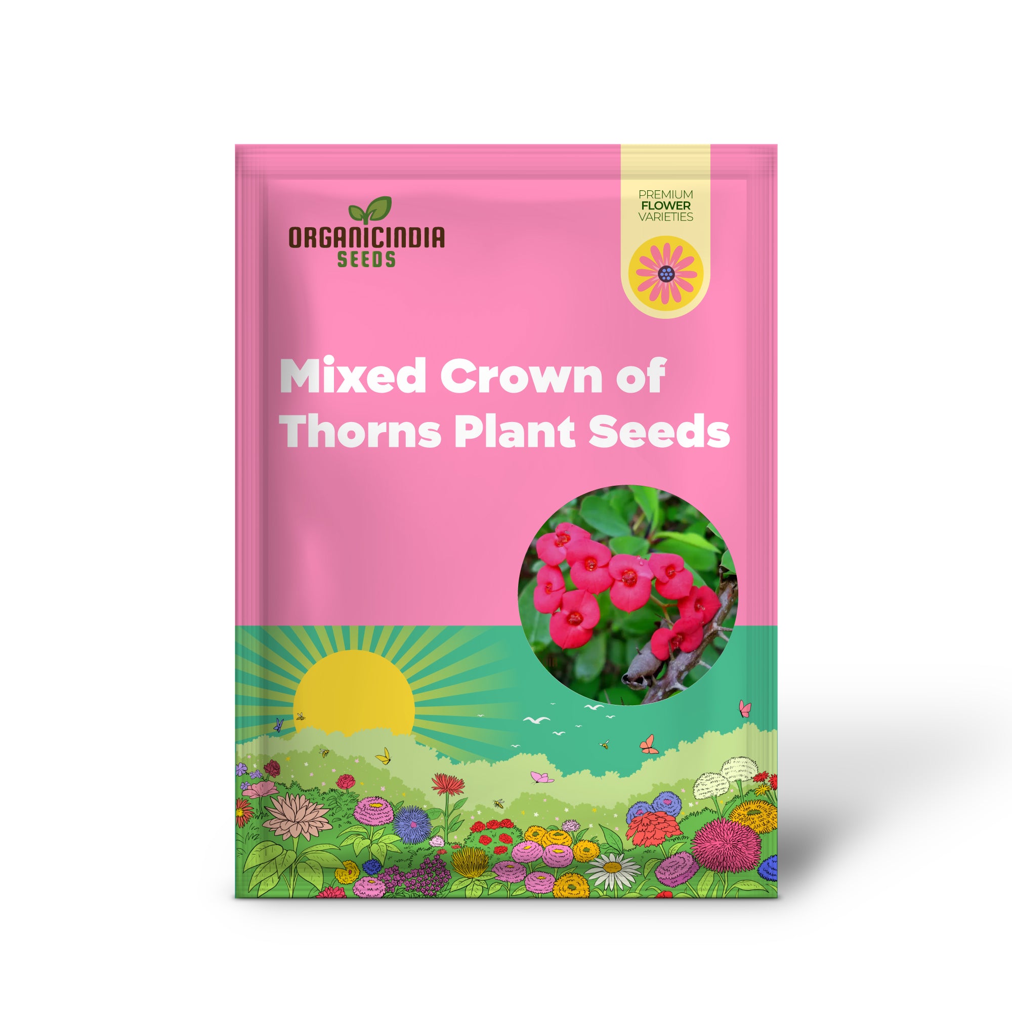 Transform Your Garden Oasis: Mixed Crown of Thorns Plant Seeds for Vibrant Floral Beauty