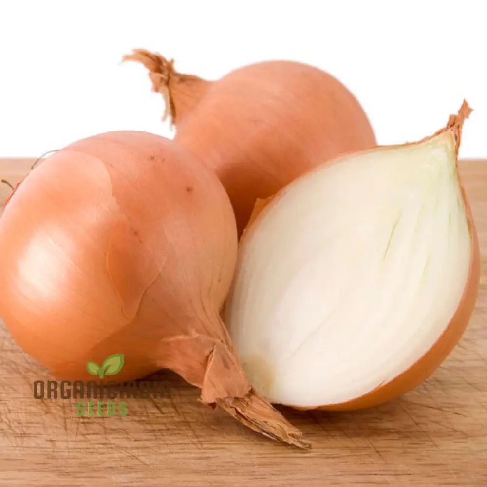 Ailsa Craig Onion Seeds For Planting Your Gardening Success