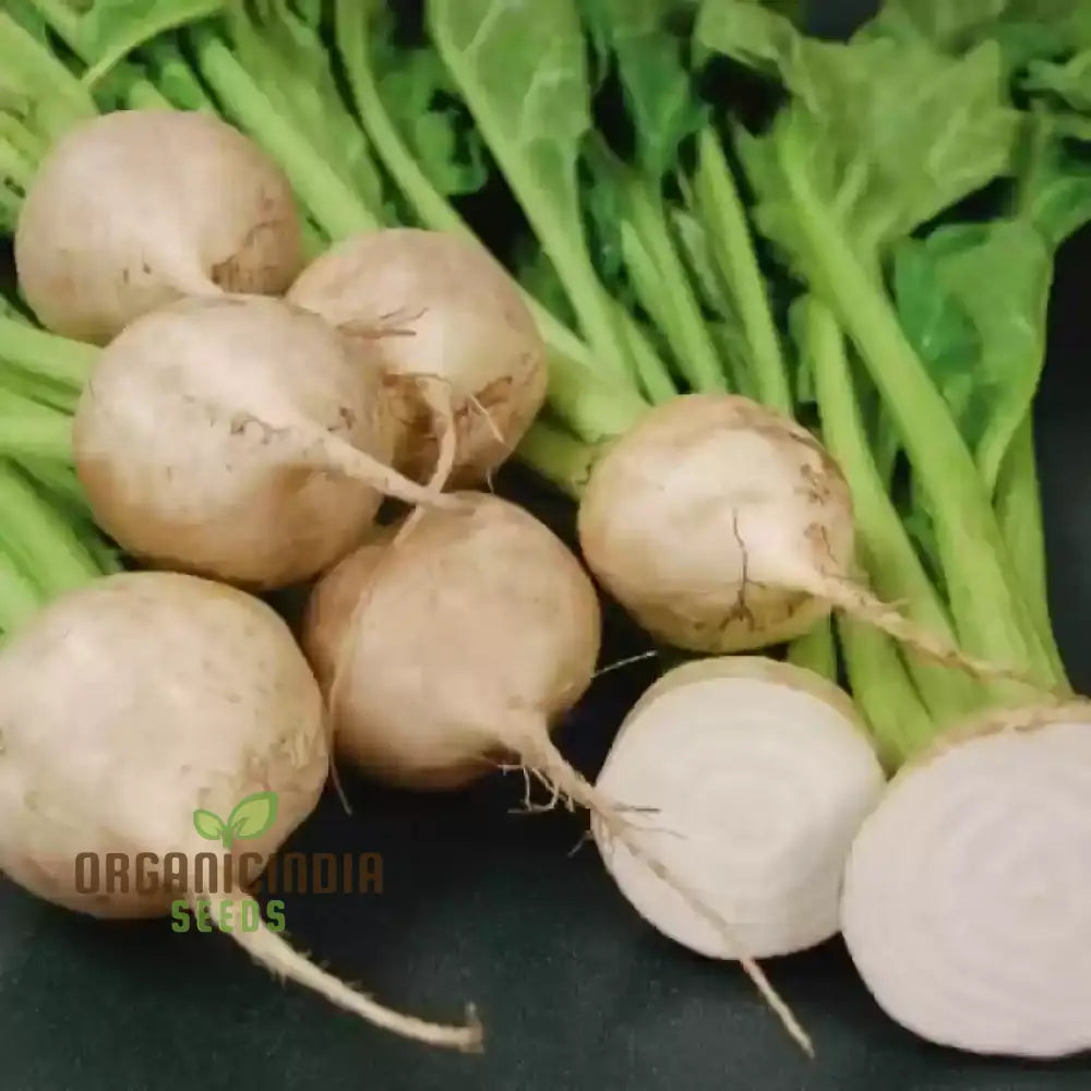 Albino Beet Seeds - Cultivate Unique And Eye-Catching Beets For Your Garden