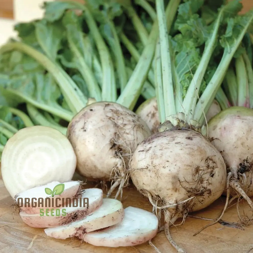 Albino Beet Seeds - Cultivate Unique And Eye-Catching Beets For Your Garden