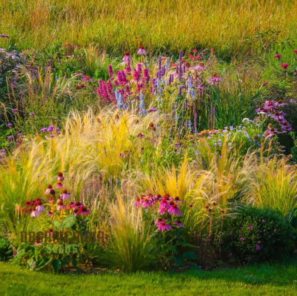 Annual Ornamental Grass Mix Seeds For Planting Enthusiasts Create Stunning Textured Garden