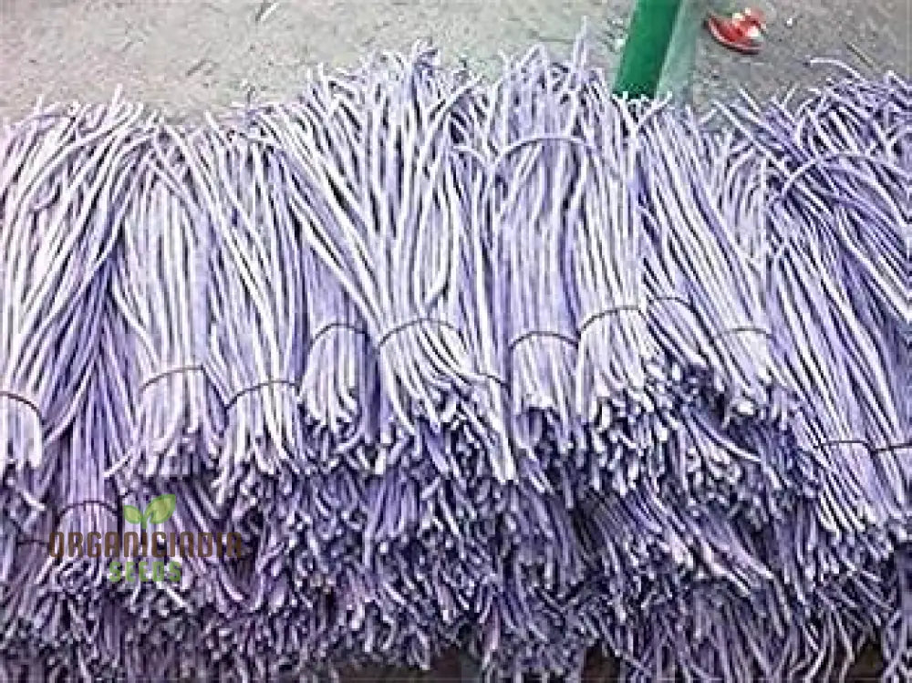 Aquarium Fish Tank Grass Seeds For Planting - 100 Pcs Plant