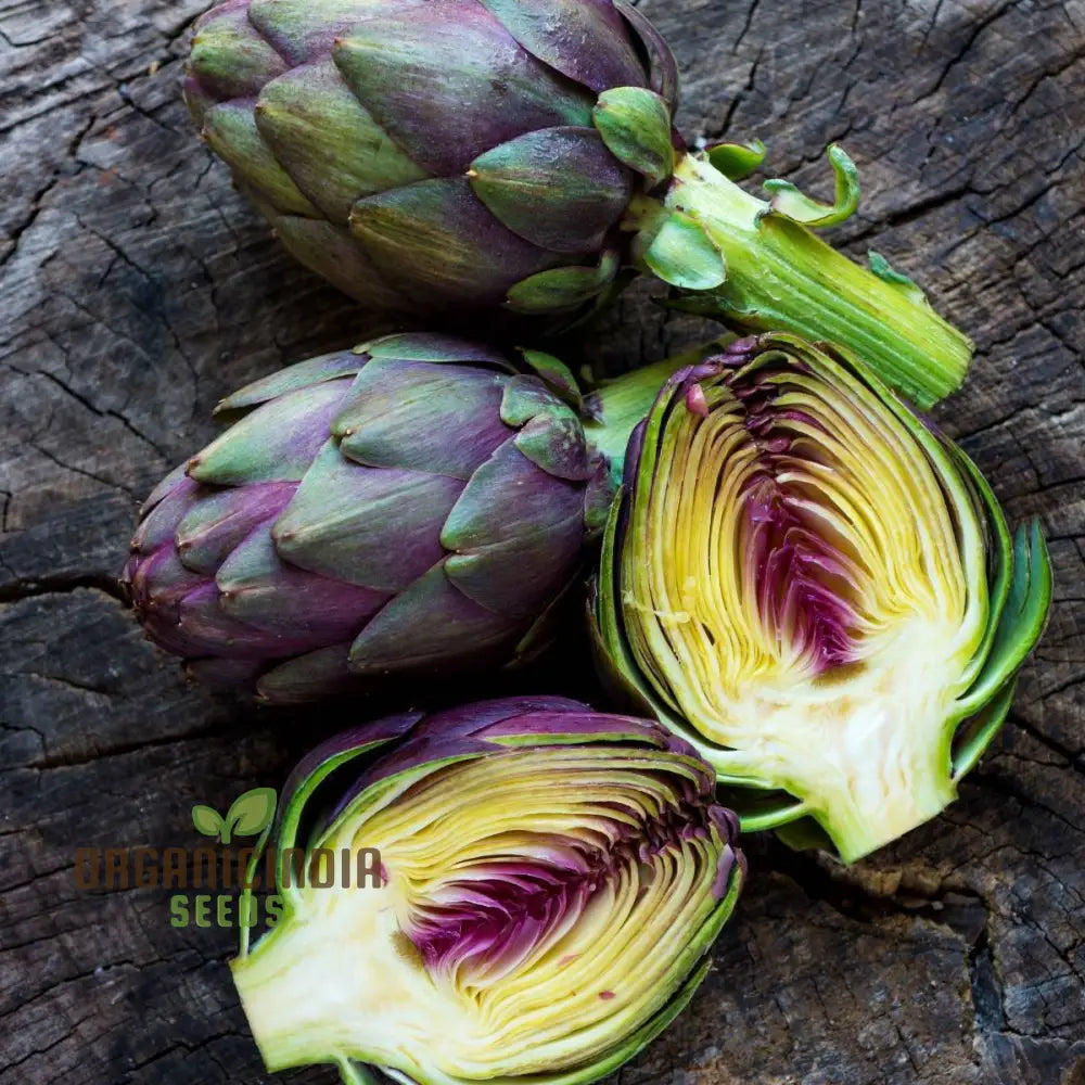 Artichoke Seeds - Purple Headed For Planting Cultivate Eye-Catching Artichokes