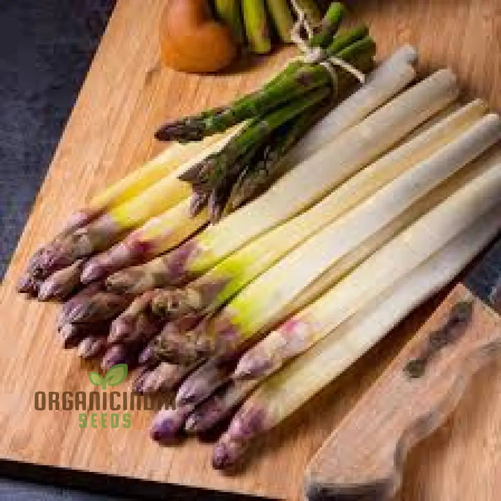 Asparagus - Argenteuil Vegetable Seeds For Planting Grow Delicious And Tender