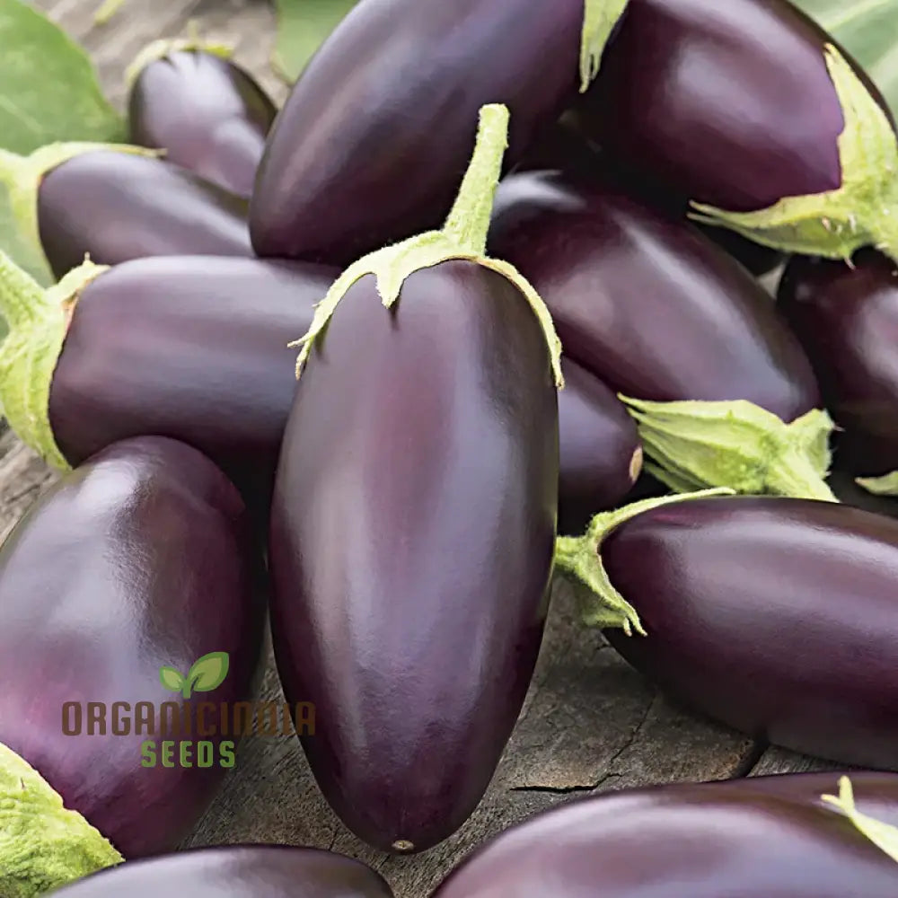 Aubergine Jewel F1 Mix Vegetable Seeds For Planting Premium Mixed For High-Yield Flavorful