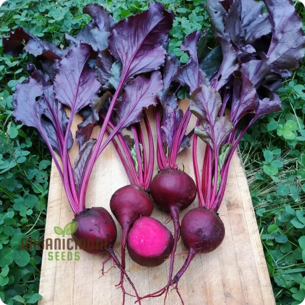 Beetroot Beet Leaf Bulls Blood Scarletta Seeds For Your Gardening Needs | Buy Online