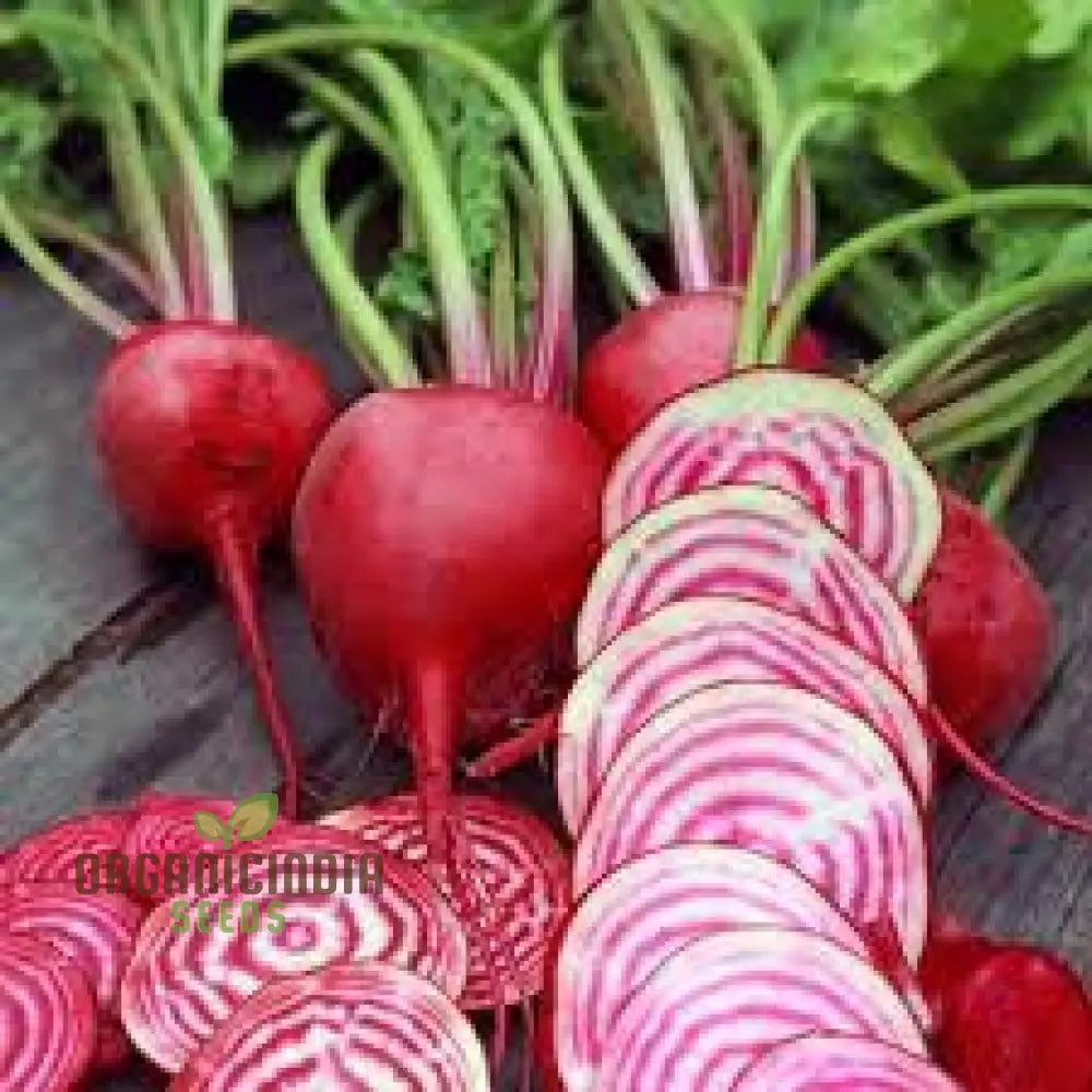 Beetroot Chioggia Seeds For Your Garden | Organic Gardening