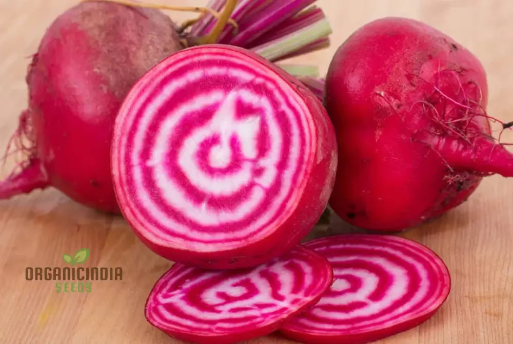 Beetroot Chioggia Seeds For Your Garden | Organic Gardening