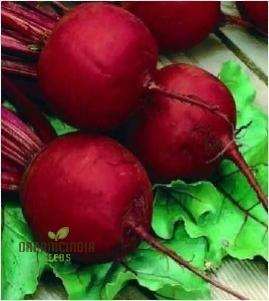 Beetroot Crimson Globe Seeds For Your Gardening Needs | Buy Online