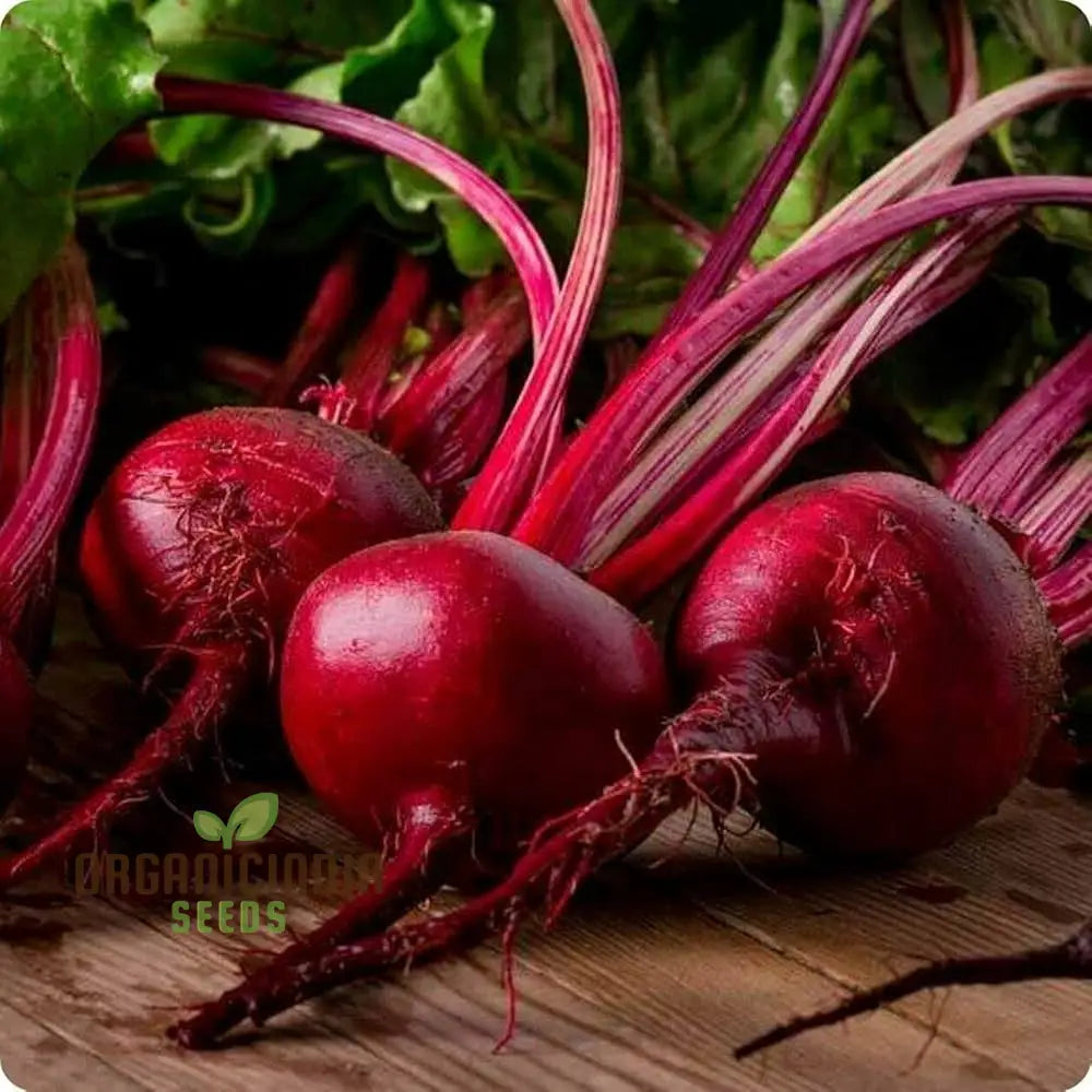 Beetroot Crimson Globe Seeds For Your Gardening Needs | Buy Online