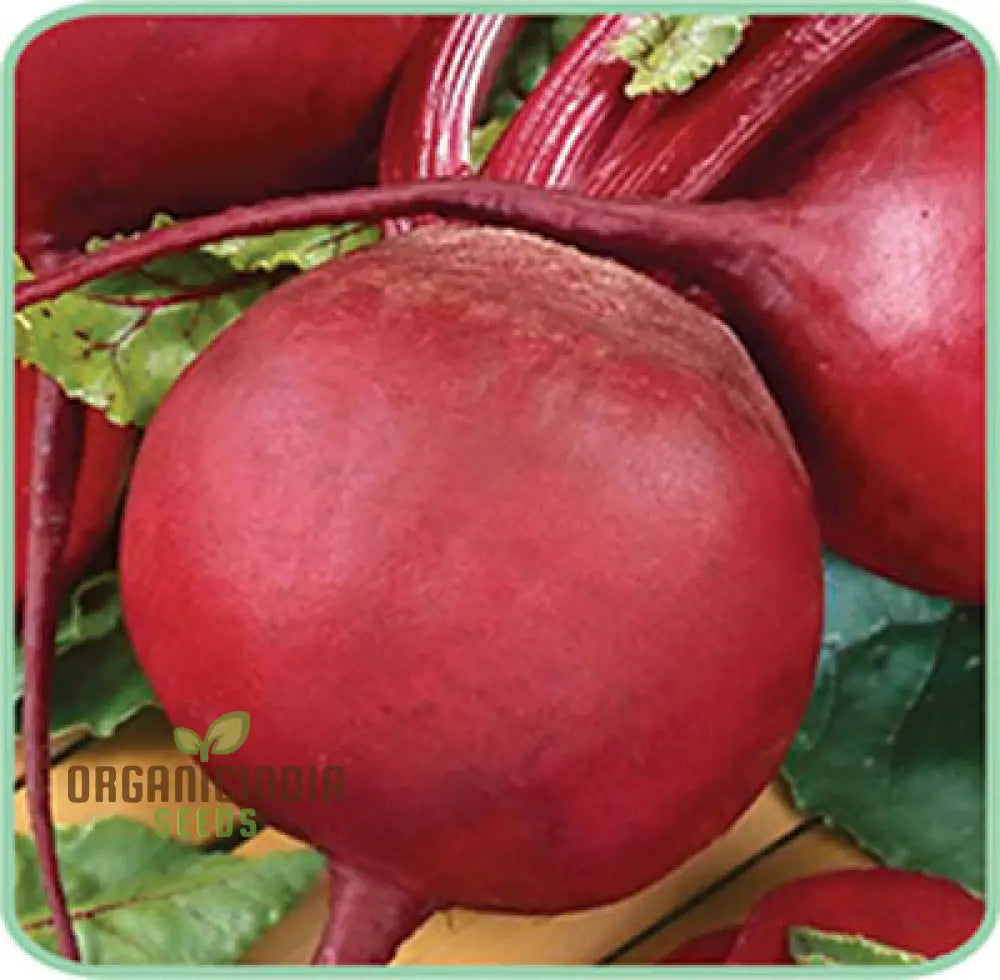 Beetroot Crimson Globe Seeds For Your Gardening Needs | Buy Online