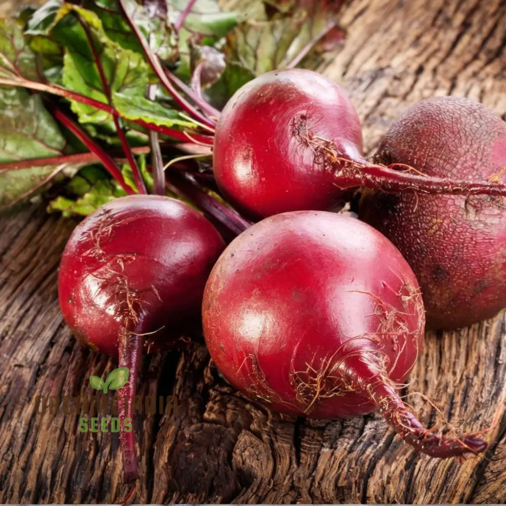 Beetroot - Detroit Dark Red Vegetable Seeds (Ddr) High-Yield Heirloom Variety