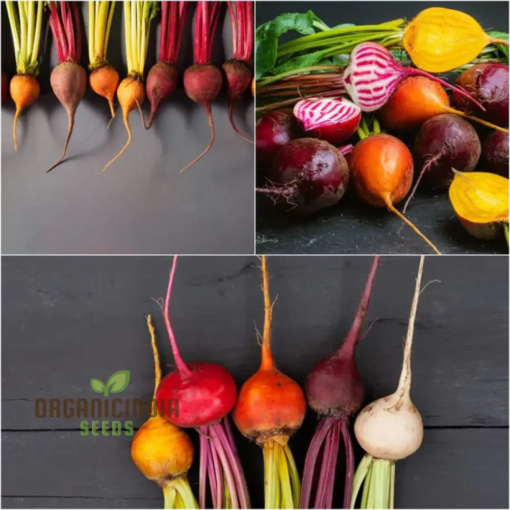 Beetroot - Heirloom Mix Vegetable Seeds For Planting Diverse And Nutritious Varieties For Your