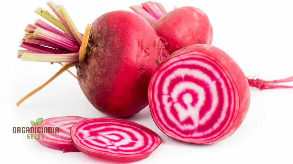 Beetroot - Heirloom Mix Vegetable Seeds For Planting Diverse And Nutritious Varieties For Your