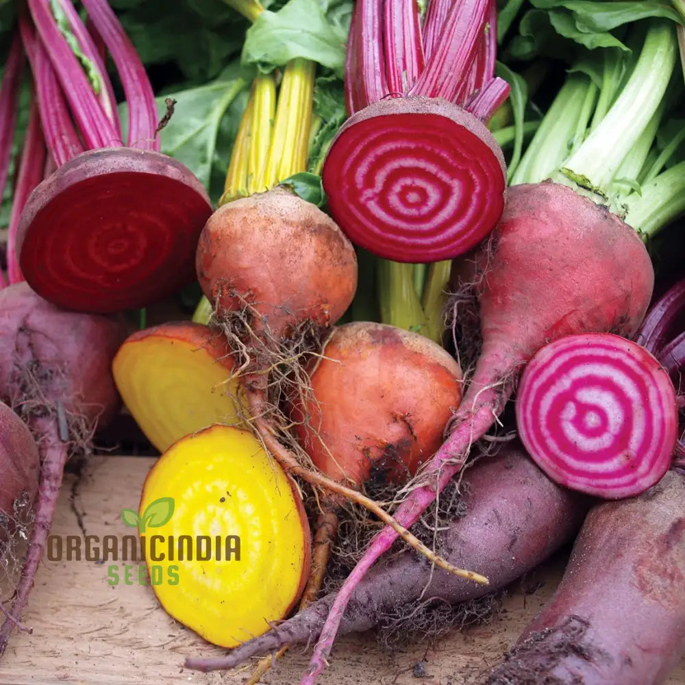 Beetroot - Heirloom Mix Vegetable Seeds For Planting Diverse And Nutritious Varieties For Your